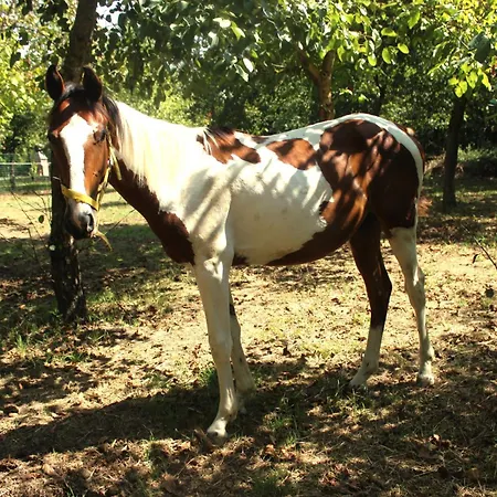 Landhuis La Piana Castiglione del Lago
